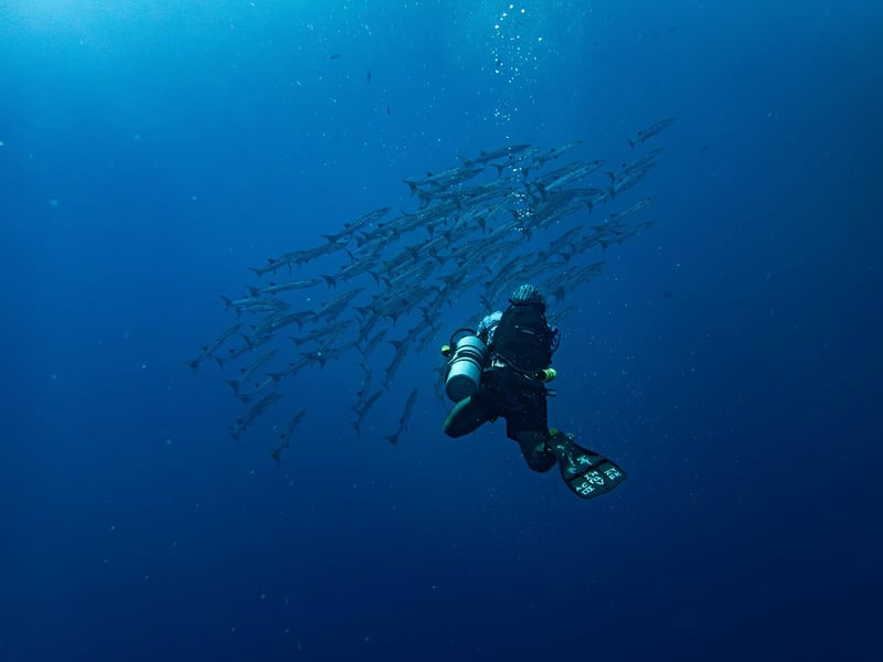 Deep Sea